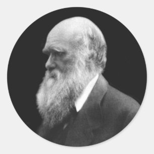 Adesivo Darwin Portrait Round Stickers