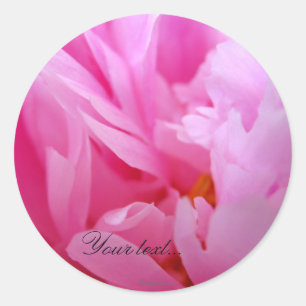 Adesivo Das flores para casamentos cor-de-rosa da peônia