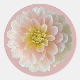 Adesivo Day Dreamer Waterlily Dahlia