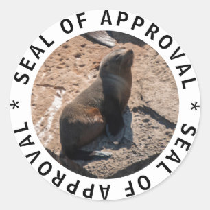 Adesivo de aprovação de bebê foca engraçadinho