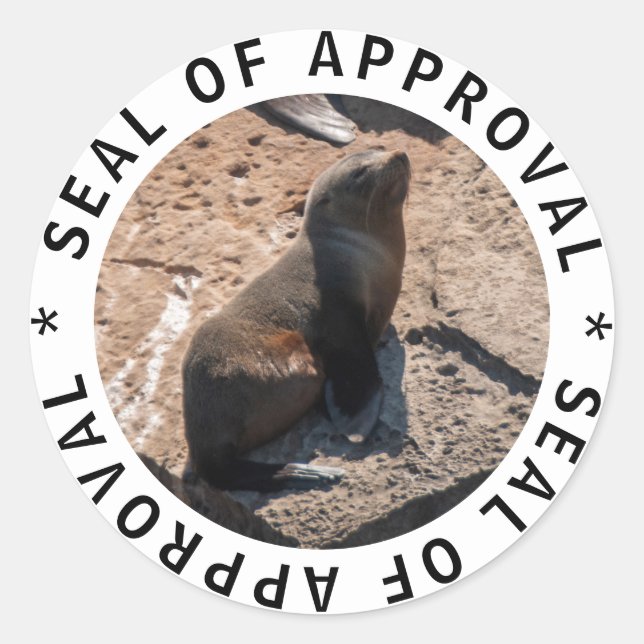 Adesivo de aprovação de bebê foca engraçadinho (Frente)