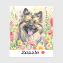 Adesivo de Aquarela Keeshond