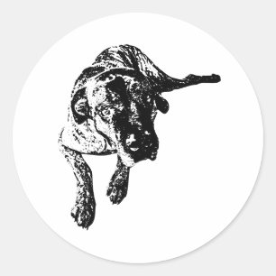 Adesivo de Arte de Cão Cane Corso em Pose Deitada
