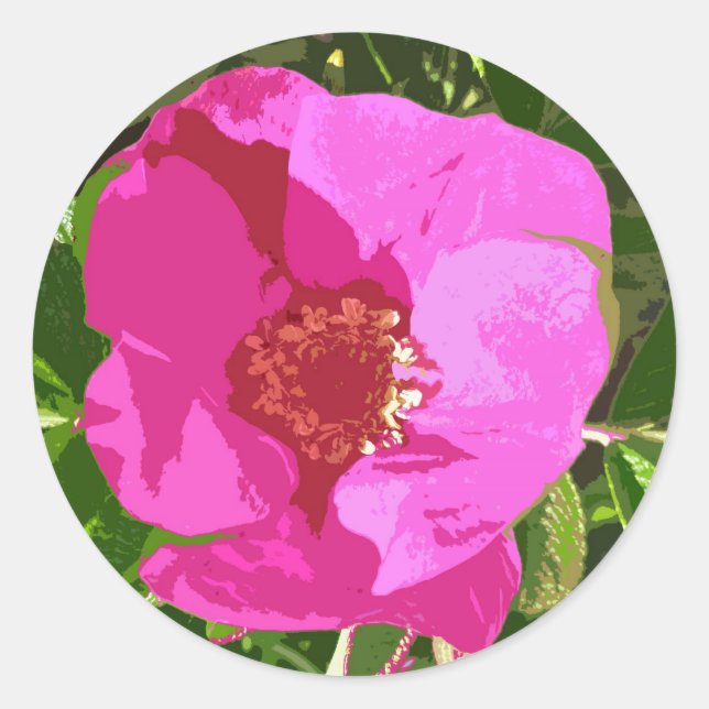Adesivo de arte digital com Rosa de praia rosa que (Frente)