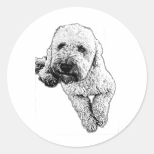Adesivo de Arte em Tinta de Filhote de Lagotto Rea