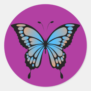 Adesivo de Borboleta Azul e Laranja
