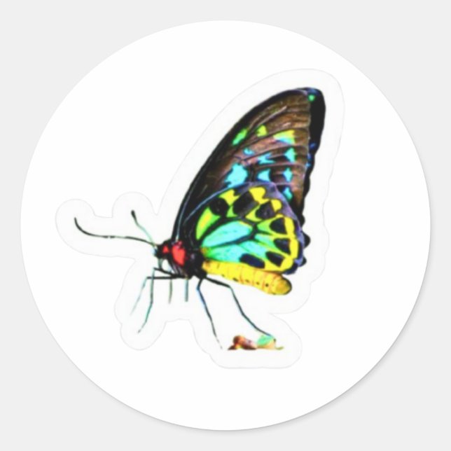 Adesivo de Borboleta de Perfil Neon Artístico - S  (Frente)