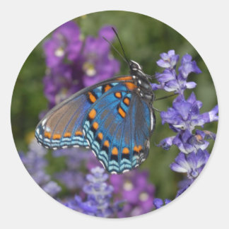 adesivo de borboleta nº 1