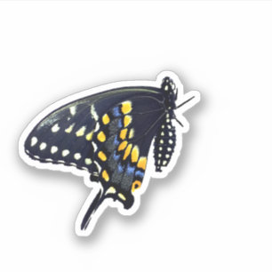 Adesivo de borboleta preto