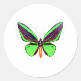 Adesivo de Borboleta Verde Lima Majestosa - Asa Co
