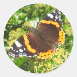 Adesivo de borboletas, adesivo