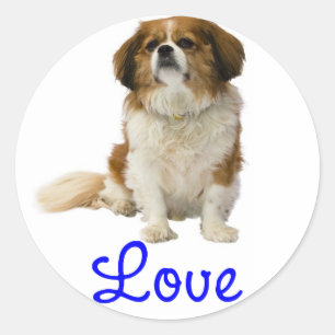 Adesivo de Cachorrinho Cavalier King Charles Spani