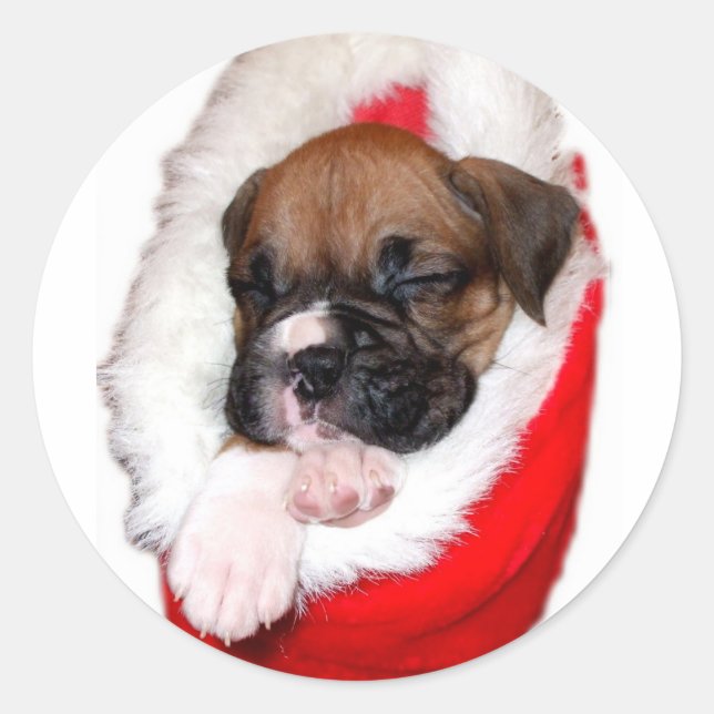 Adesivo de cachorrinho de boxe Holiday (Frente)