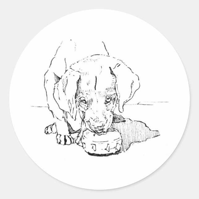Adesivo de Cachorrinho Labrador,  (Frente)