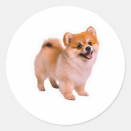 Adesivo de cachorrinho Pomerânia Fofo Feliz, Cão B
