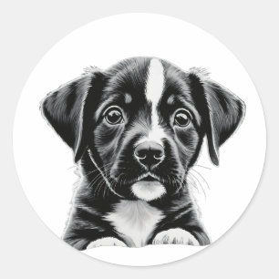 Adesivo de Cachorro Preto e Branco Fofo – Cachorro