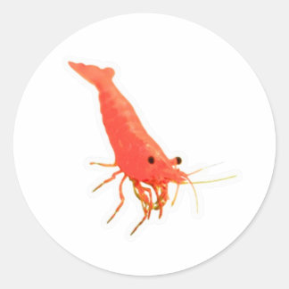 Adesivo de Camarão Cereja Vermelho Fofo, Aquário V