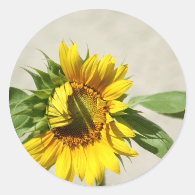 Adesivo de chamada de despertar (Frente)