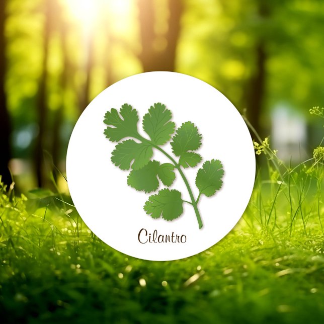 Adesivo de Coentro (Cilantro Herb Sticker, aromatic leaves with a distinctive flavor. )