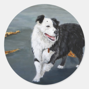 Adesivo de Collie de Borda