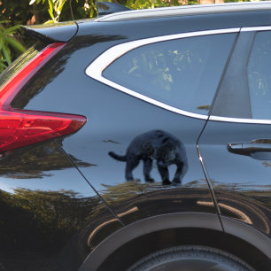 adesivo de contorno Jaguar Diablo