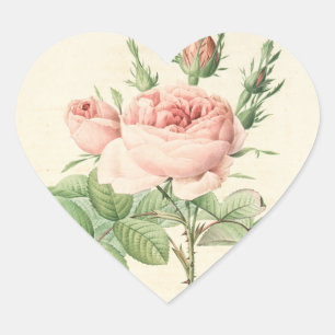 Adesivo de Coração Rosa Vintage