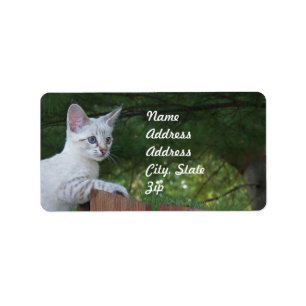 Adesivo de endereço para gatos brancos da Savana
