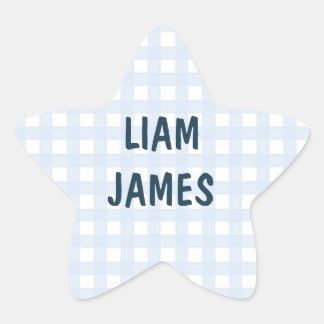 Adesivo de Envelope Starry Gingham Baby Boy