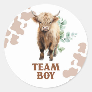 Adesivo de Equipe de Menino Vaca Novilha ou Touro