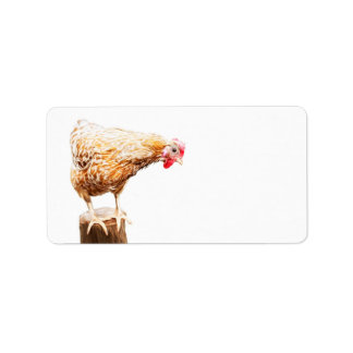 Adesivo de etiqueta de transporte de frango