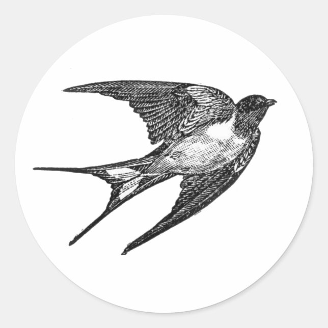 adesivo de falcão em fundo branco (Frente)