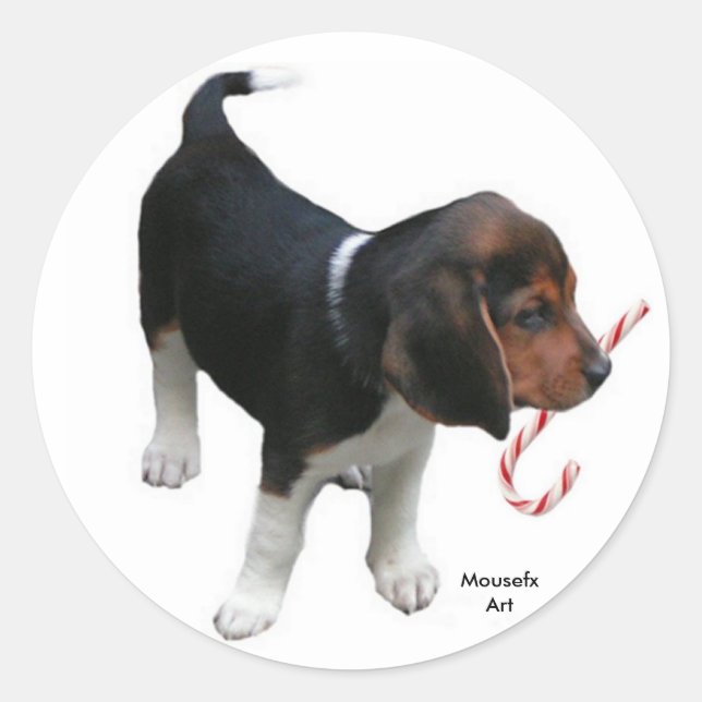 Adesivo de Feriado de Beagle (Frente)