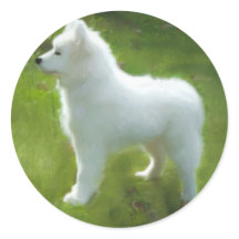 Adesivo de Filhote Samoyed; Vários Tamanhos
