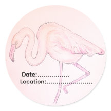 Adesivo de flamingo para observadores de aves