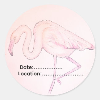 Adesivo de flamingo para observadores de aves