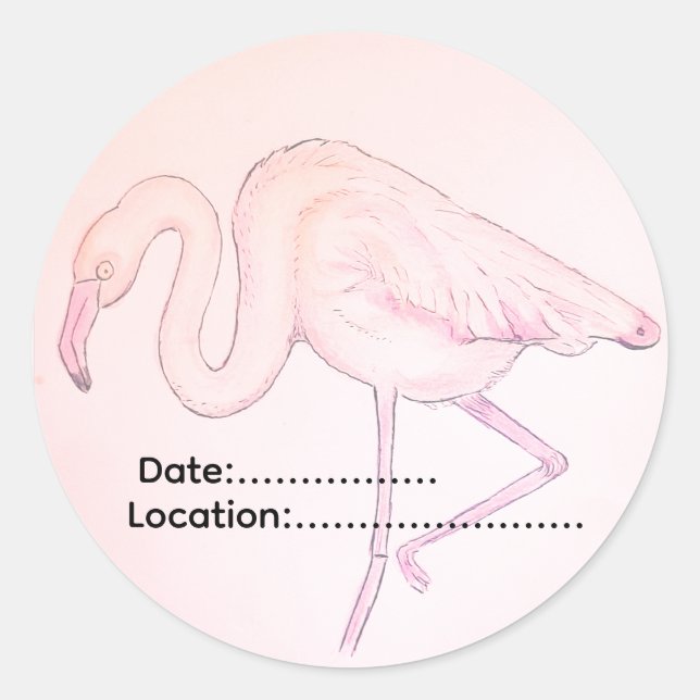 Adesivo de flamingo para observadores de aves (Frente)