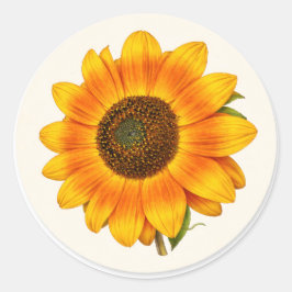 Adesivo de Flor de Jardim Redondo Pequeno de Giras