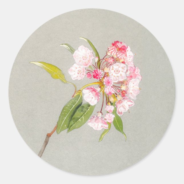 Adesivo de Flor de Laurel da Montanha (Frente)