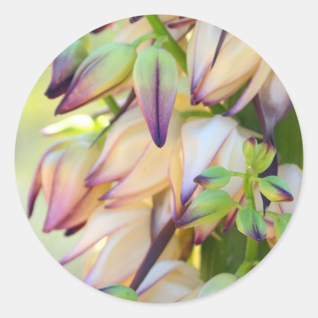adesivo de flores da iúca (Frente)