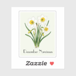 Adesivo de Flores de Narciso de Dezembro