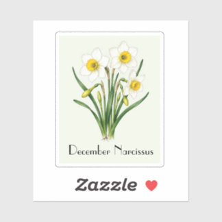 Adesivo de Flores de Narciso de Dezembro