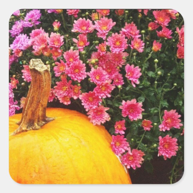 adesivo de foto do instagram (Frente)