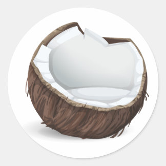 Adesivo de fruta de coco