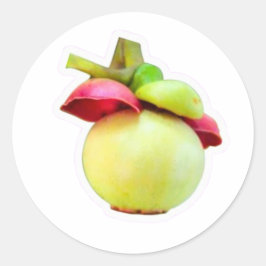 Adesivo de Fruta Mangostão, Exótico de Lombok Indo