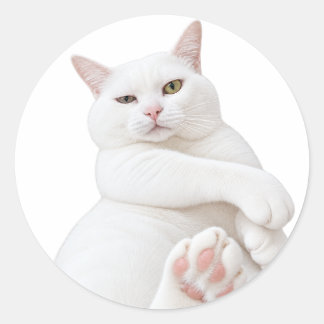 Adesivo de Gato Branco Engraçado – Gato Mal-humora
