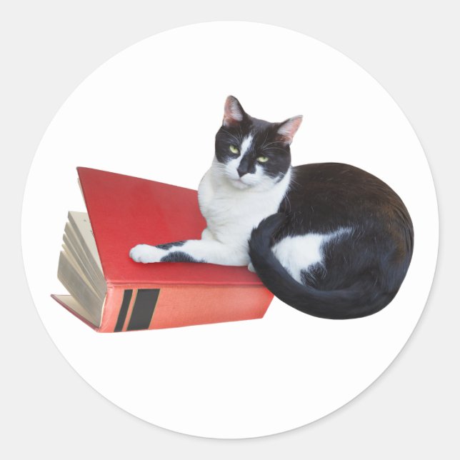 Adesivo de Gato com Livro (Frente)