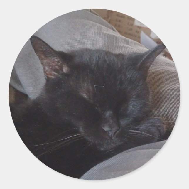 Adesivo de gato dormindo (Frente)