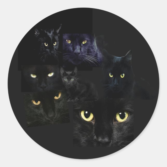 Adesivo de gatos assustados (Frente)