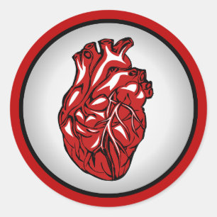 Adesivo de Ilustração de Anatomia do Coração H