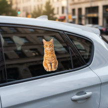 Adesivo de janela de carro com foto personalizada 